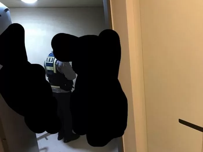 인사이트