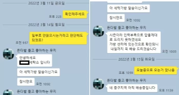 인사이트