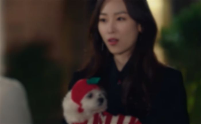 유기견 보호소에서 죽기 직전의 늙고 병든 강아지만 골라 데려오는 친구의 사연