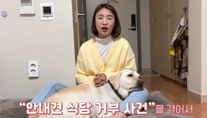 유명 식당서 ‘안내견 출입’ 또 거부당한 시각장애 유튜버 (영상)
