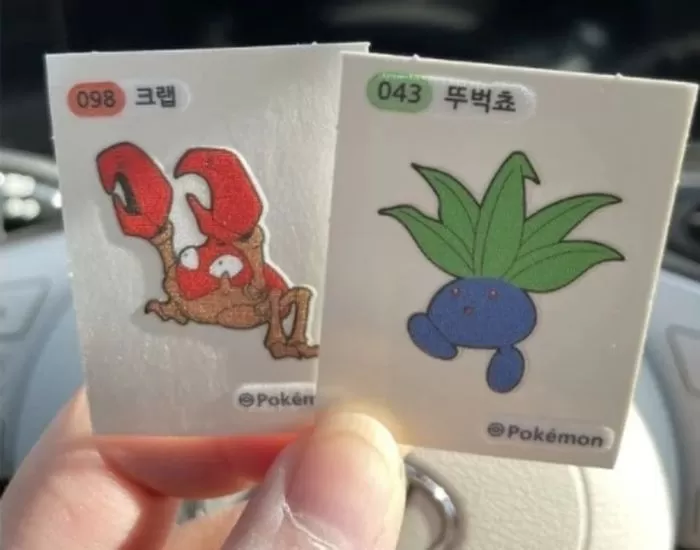 인사이트