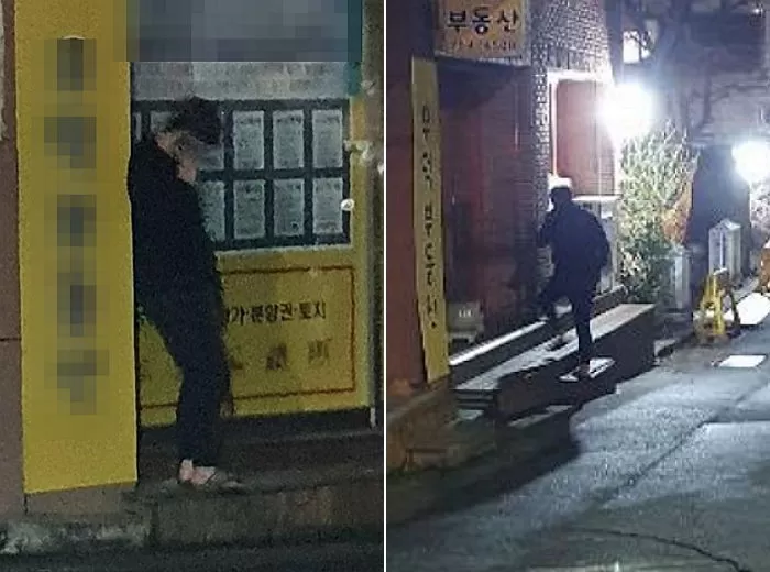 인사이트