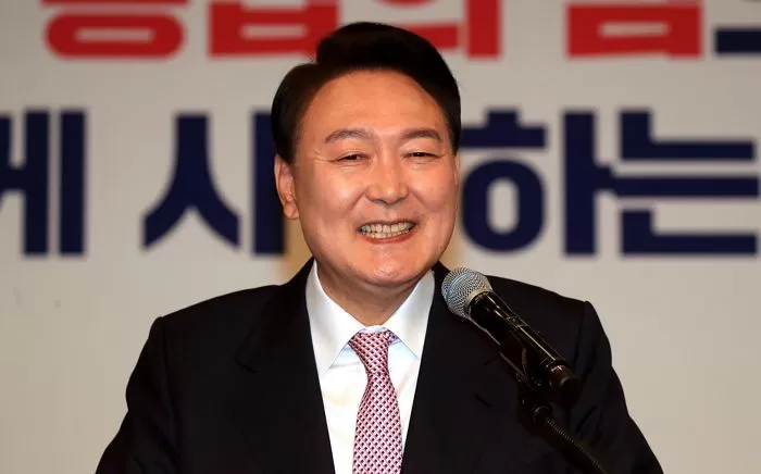 인사이트