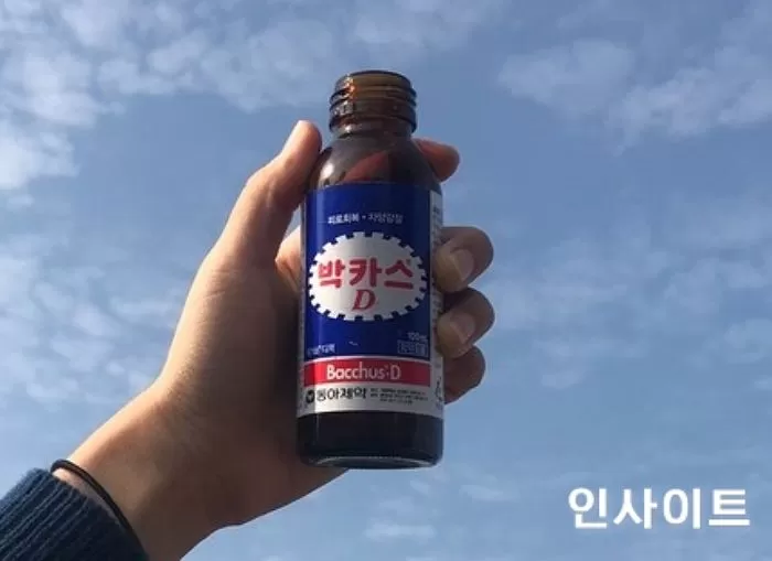 인사이트