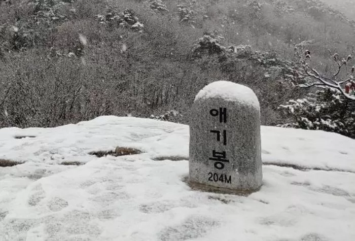 인사이트
