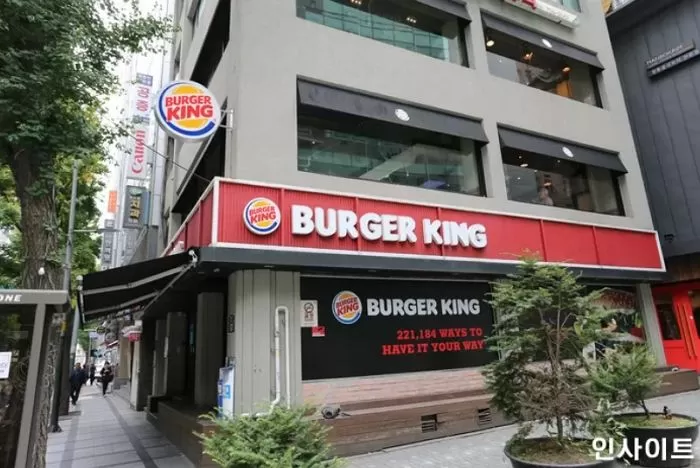 인사이트