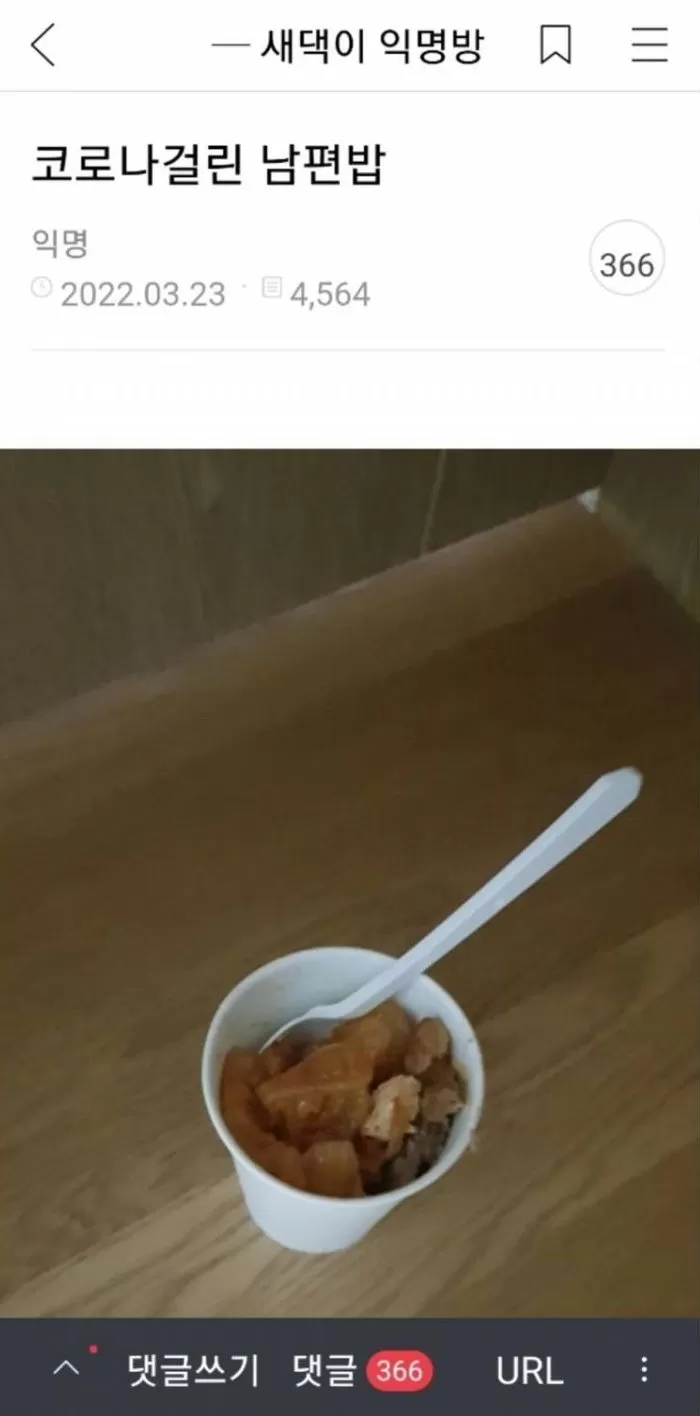 인사이트
