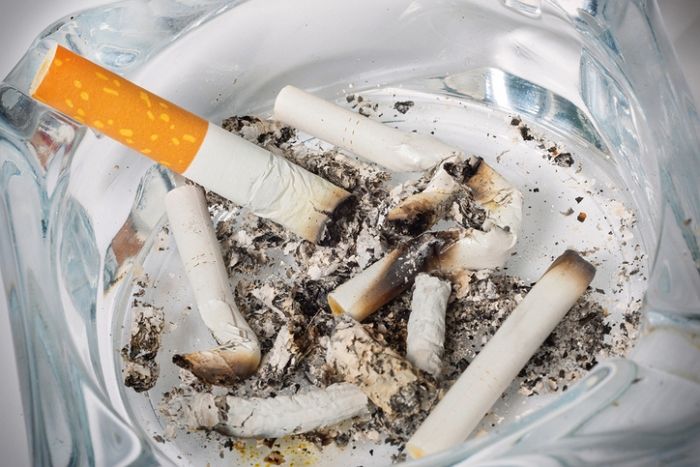 남친 중요 부위 담뱃불로 20회 지지고 가혹 폭행 일삼은 동거녀