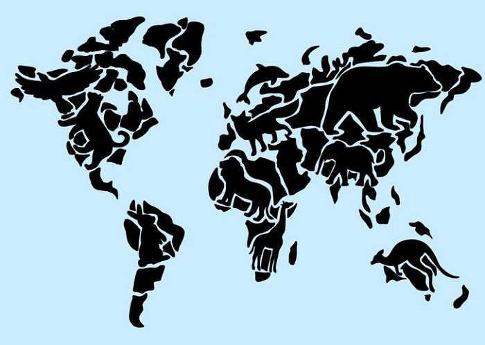 [성격테스트] 다음 그림에서 가장 먼저 보이는 ‘동물’로 알아보는 당신의 분노 포인트