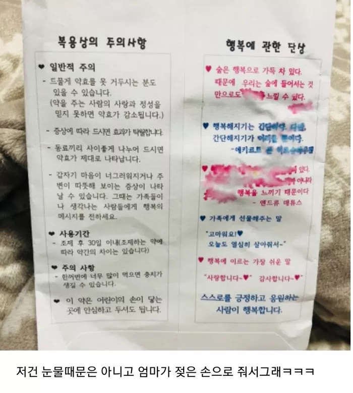 인사이트