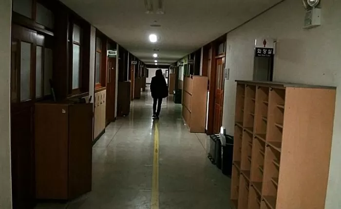 인사이트