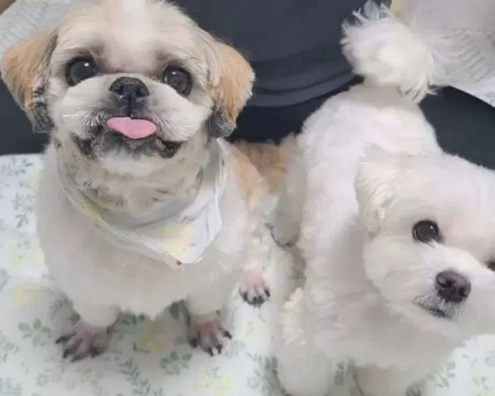 후원금 횡령 의혹에 인스타 계정 폭파한 경태 아부지...쉼터서 확인한 경태희 근황