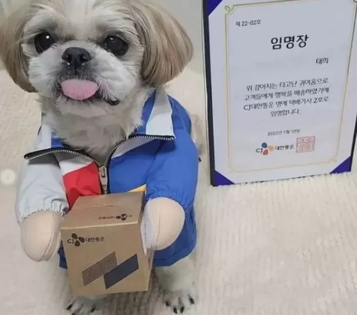 인사이트