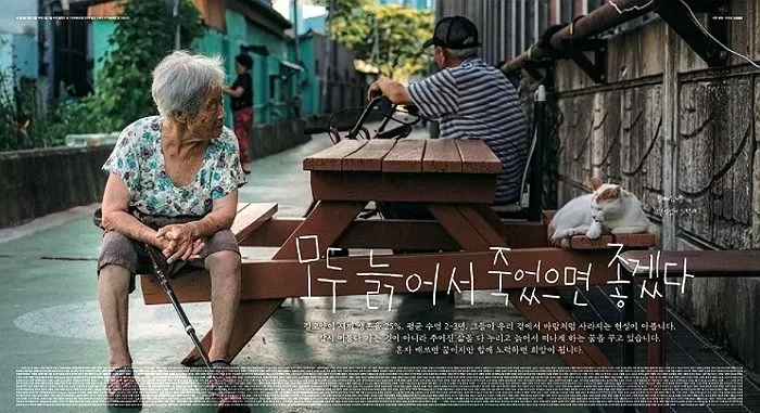 인사이트