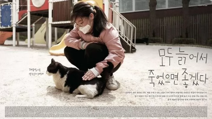 인사이트