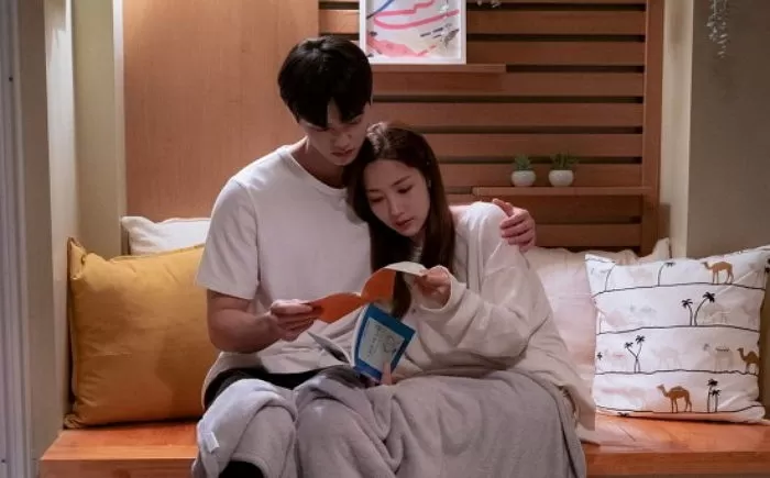 인사이트