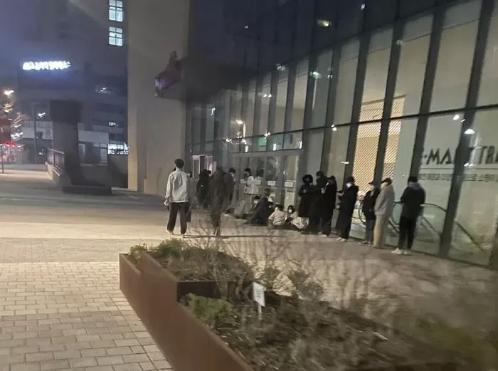 인사이트