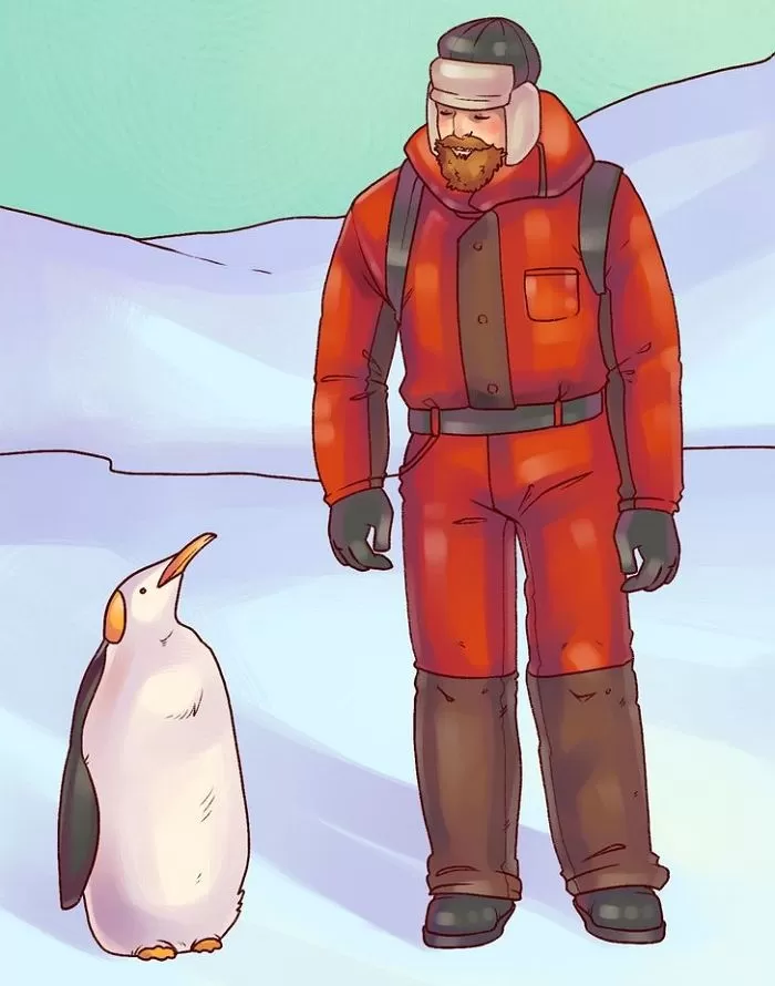인사이트