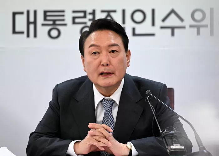 인사이트