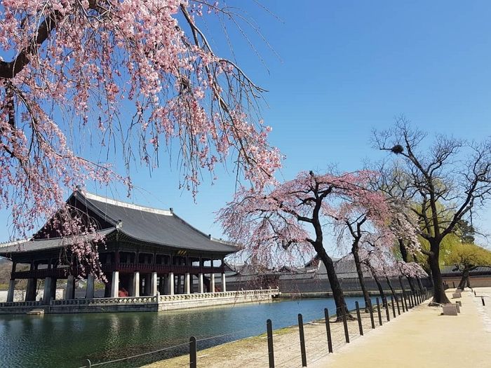 경복궁 외국인 관광객 입장료 3000원 “너무 싸, 더 받아야 vs 적당하다‘