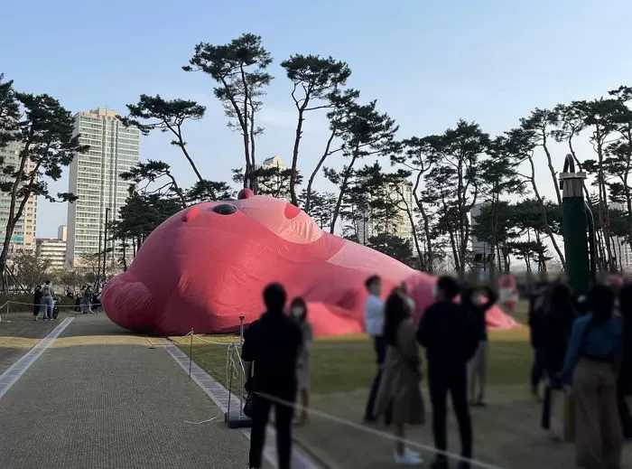 인사이트