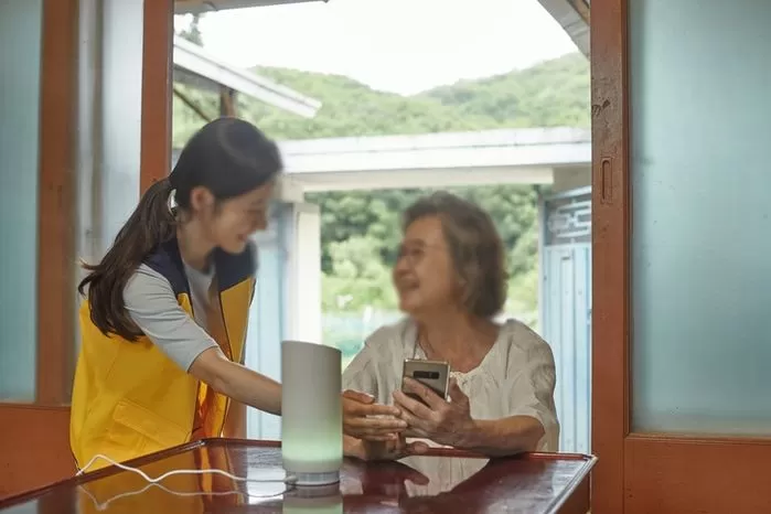 인사이트