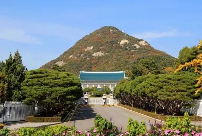 5월 10일부터 전면 개방되는 靑, 방문하려면 카톡·네이버로 예약해야