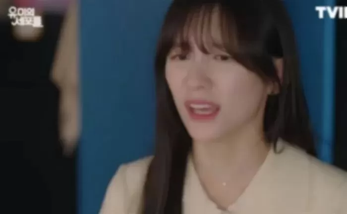 인사이트
