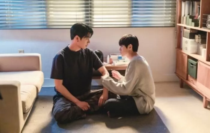 인사이트