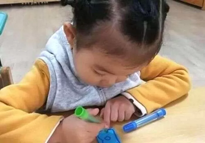 인사이트