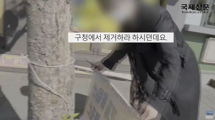 구청 사칭해 ‘세월호 8주기 추모 현수막’ 가위로 잘라버린 아주머니들 (영상)