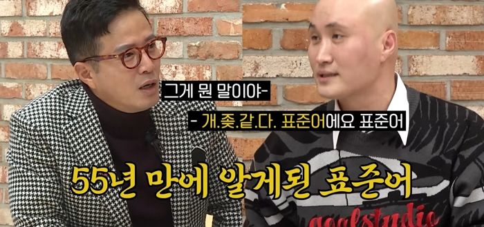 욕으로 알고 있었던 ‘개좆같다’, 사실 국어사전에 등록된 정식 ‘표준어’입니다 (영상)