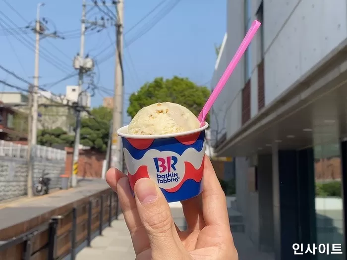 인사이트