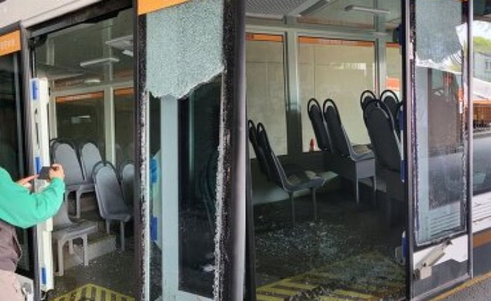 에버랜드 사파리서 사자가 트램 들이받아 유리 출입문 박살...30여명 대피