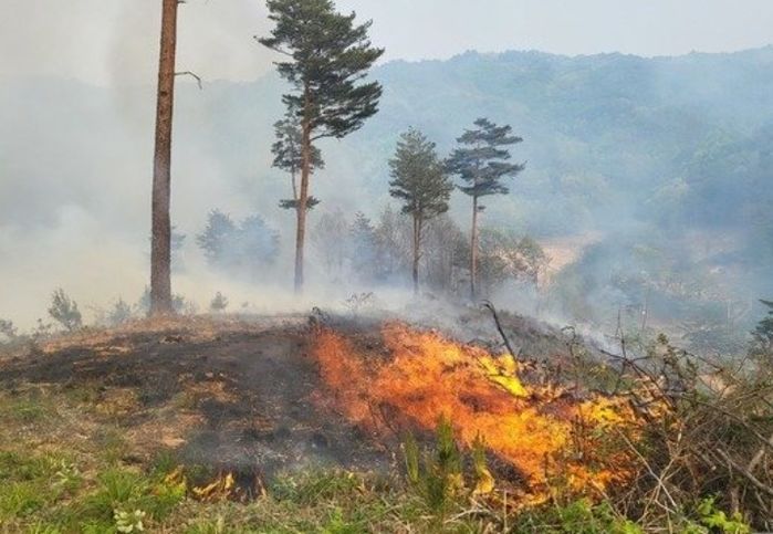 강원 양양 산불...강풍 타고 확산돼 ‘축구장 84개’ 면적 피해