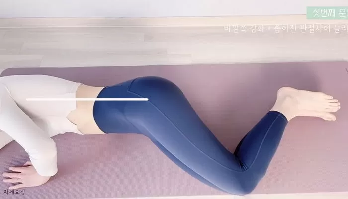 인사이트