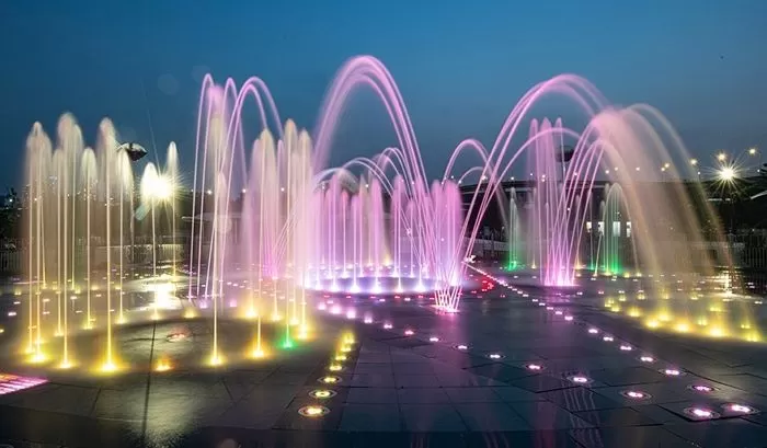인사이트