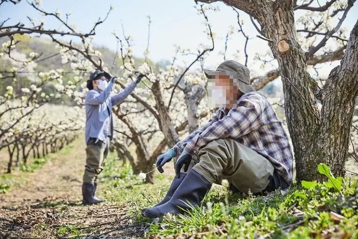 전북 익산 축사서 40대 지적장애인 월급도 안 주고 30년간 노동력 착취