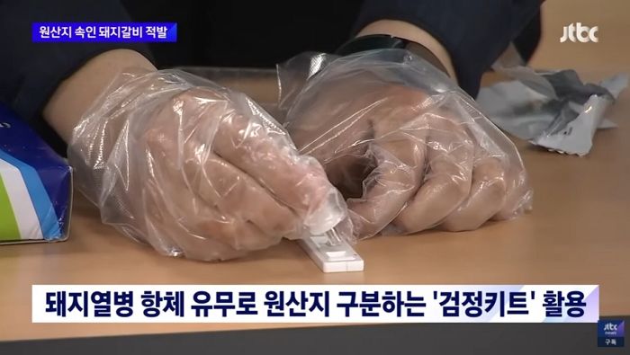 돼지고기 ‘원산지 판별 키트’ 개발돼 수입산 5분이면 찾아낸다 (영상)