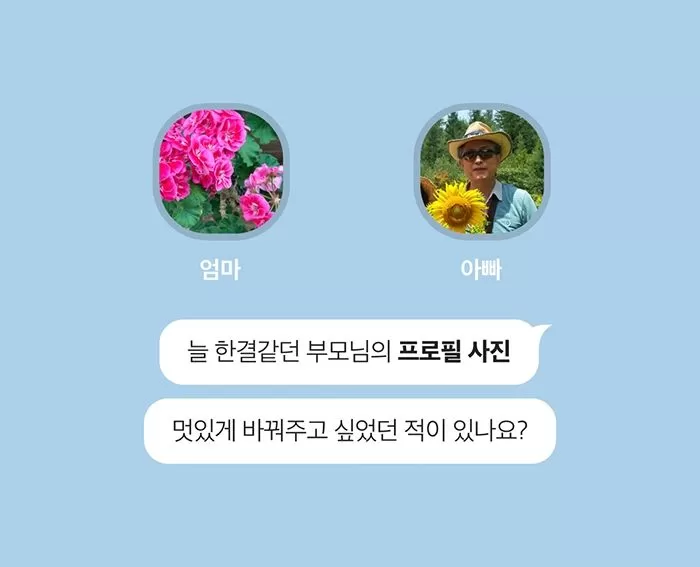인사이트