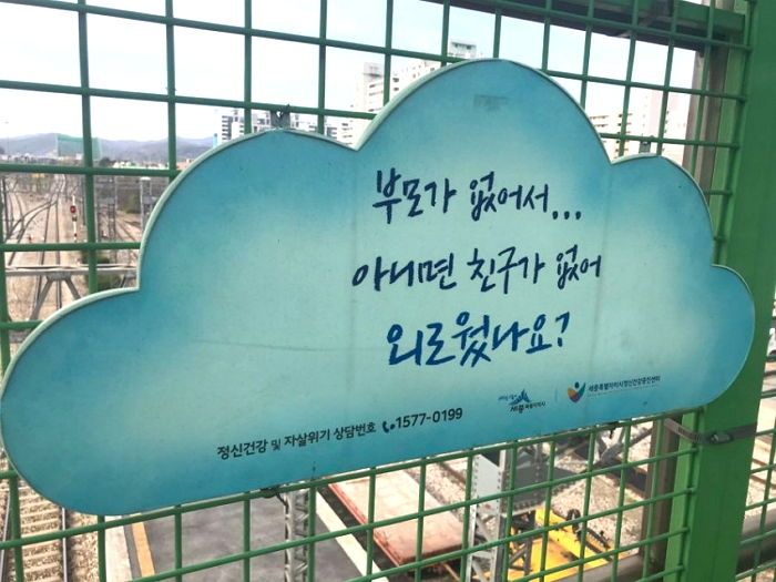 한강 다리 ‘자살방지 문구’ 욕먹고 사라진 뒤 재평가받고 있는 ‘50년 전 문구’