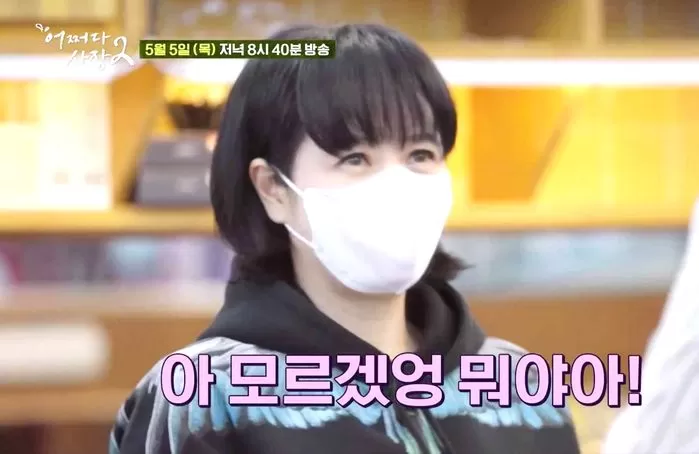 인사이트