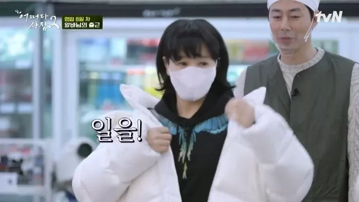 인사이트