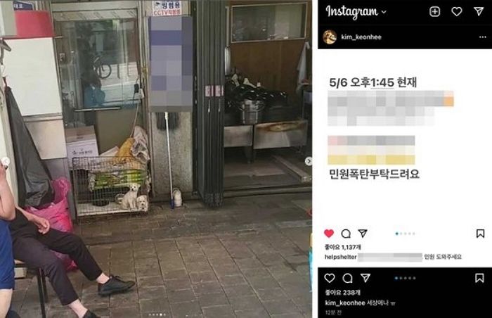 “세상에나 ㅠ”...김건희 여사가 SNS에 올렸다가 삭제한 게시글