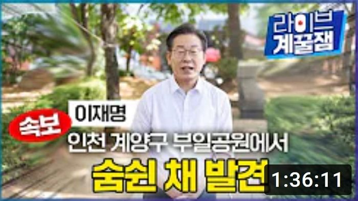 전여옥 “개딸 아빠 ‘들개 본성’ 적나라해”...이재명의 ‘숨쉰 채 발견’ 저격