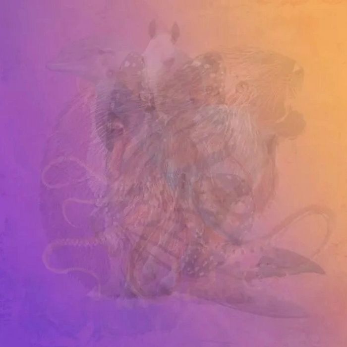 다음 그림에서 가장 먼저 보이는 ‘동물’로 알아보는 당신의 ‘진짜 성격’ 유형 7