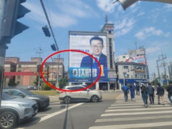 이재명 인천 ‘계양을’ 선거사무소앞 가로수 상황
