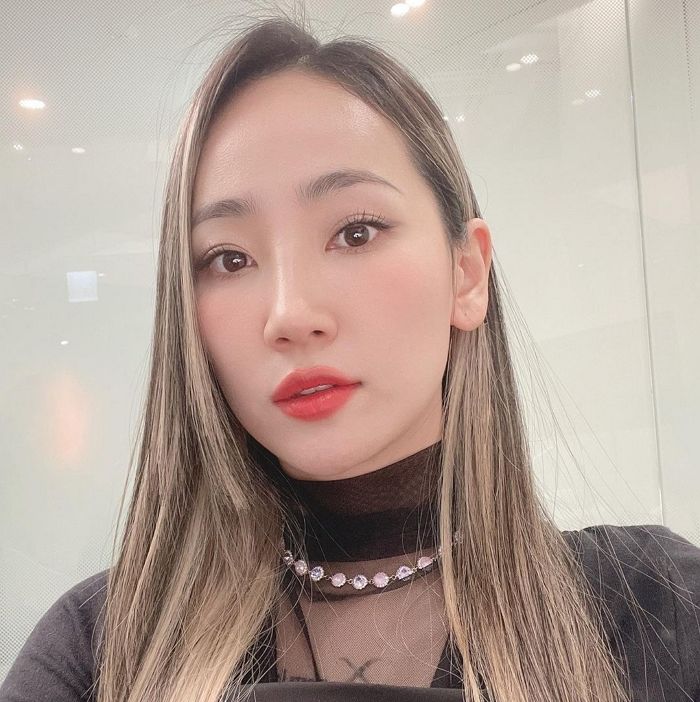 핫펠트, 법무부 디지털성범죄 TF 전문위원 자진 사퇴