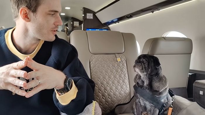 반려견 기준 몸무게 초과되자 1억원 내고 전용기 빌린 ‘구독자 1억’ 유튜버 퓨디파이 (영상)