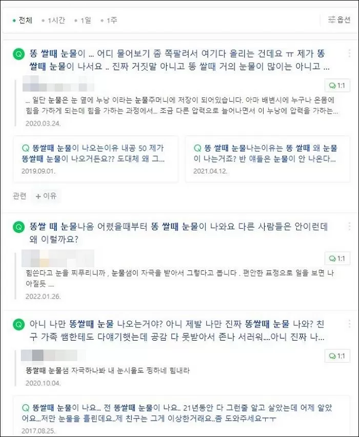 인사이트